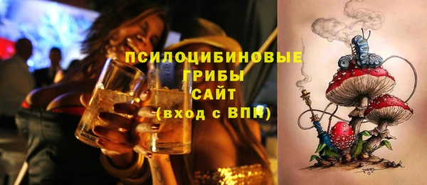 СК Снежинск